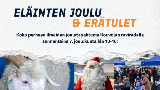 Eläintenjoulu ja erätulet